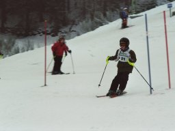 Hesselbach 2006